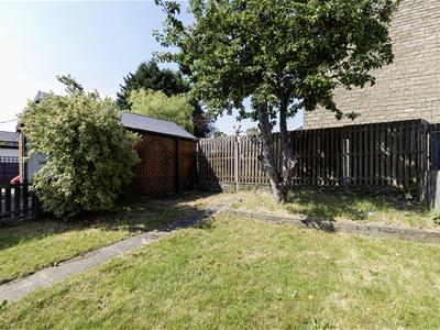 Picture 21